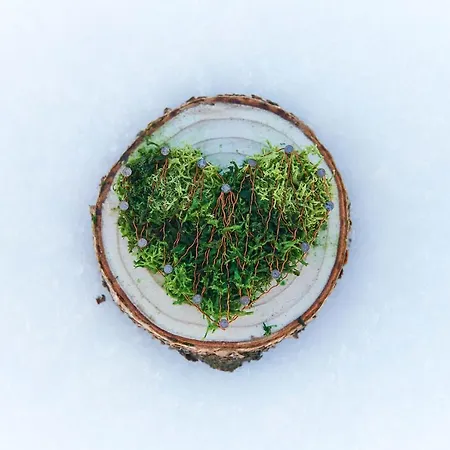 Berghaus Alpenroesli *