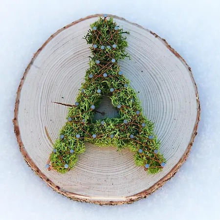 Berghaus Alpenroesli 여관 *