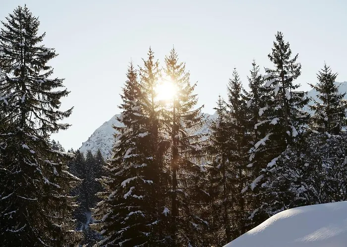 Berghaus Alpenrosli Inn