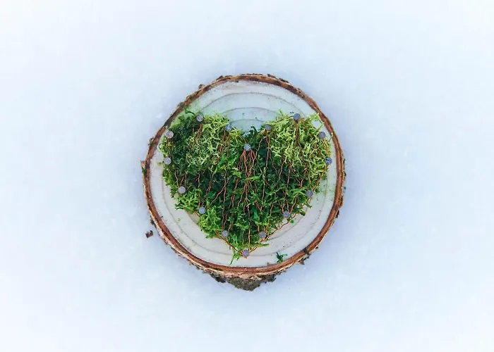 Berghaus Alpenroesli *